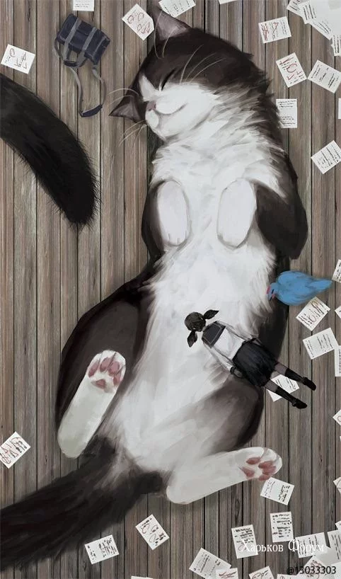 eefd0fc3a3cd91f2055.webp