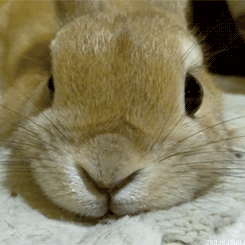 eegd9a.gif