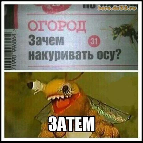 EehcJvPXsAIdC_-.webp