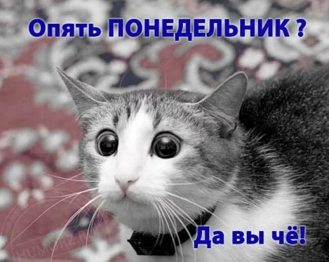 eehf2e.webp
