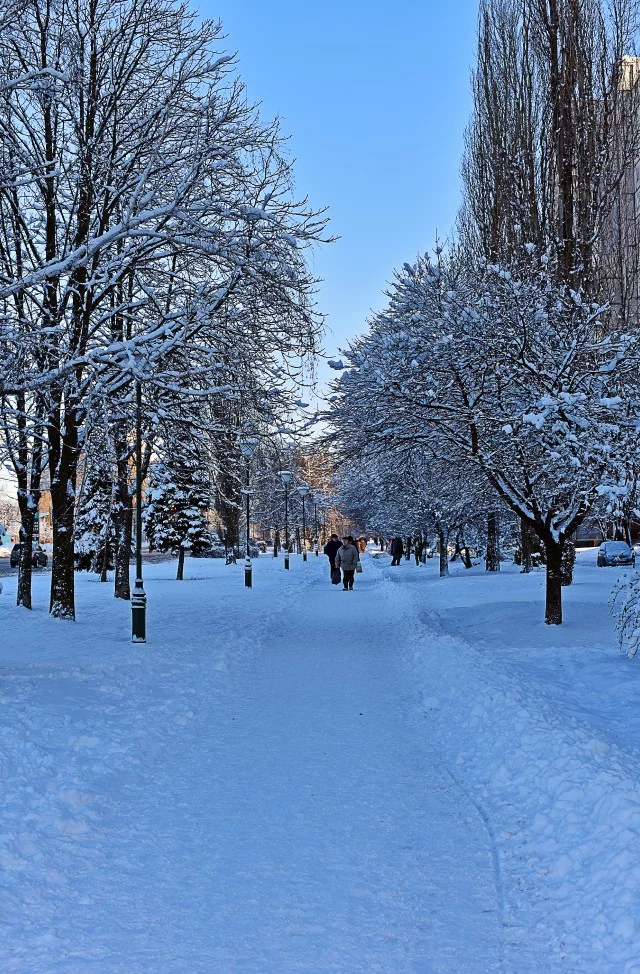 eejb6c.webp