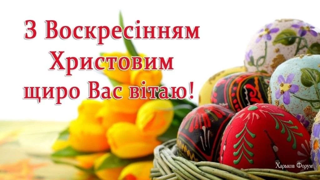 ef065828ee98d7a159.webp
