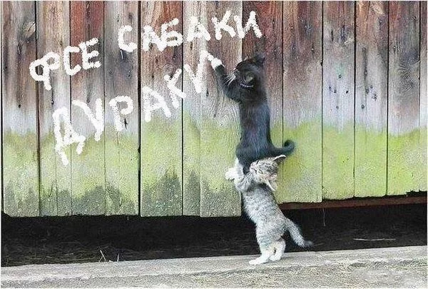 ef0age.webp