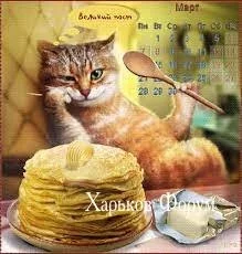 ef0c6e8d40c69c8644f26.webp