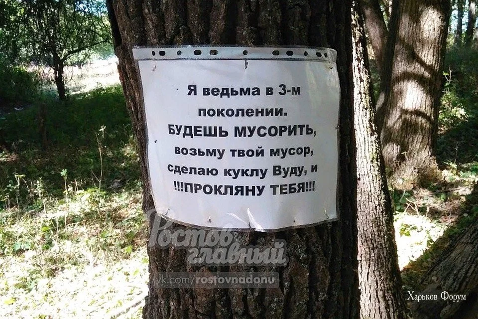 ef1da95f1d787a9753.webp