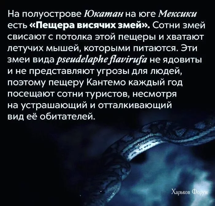 ef26f059ce135a45657bca52.webp