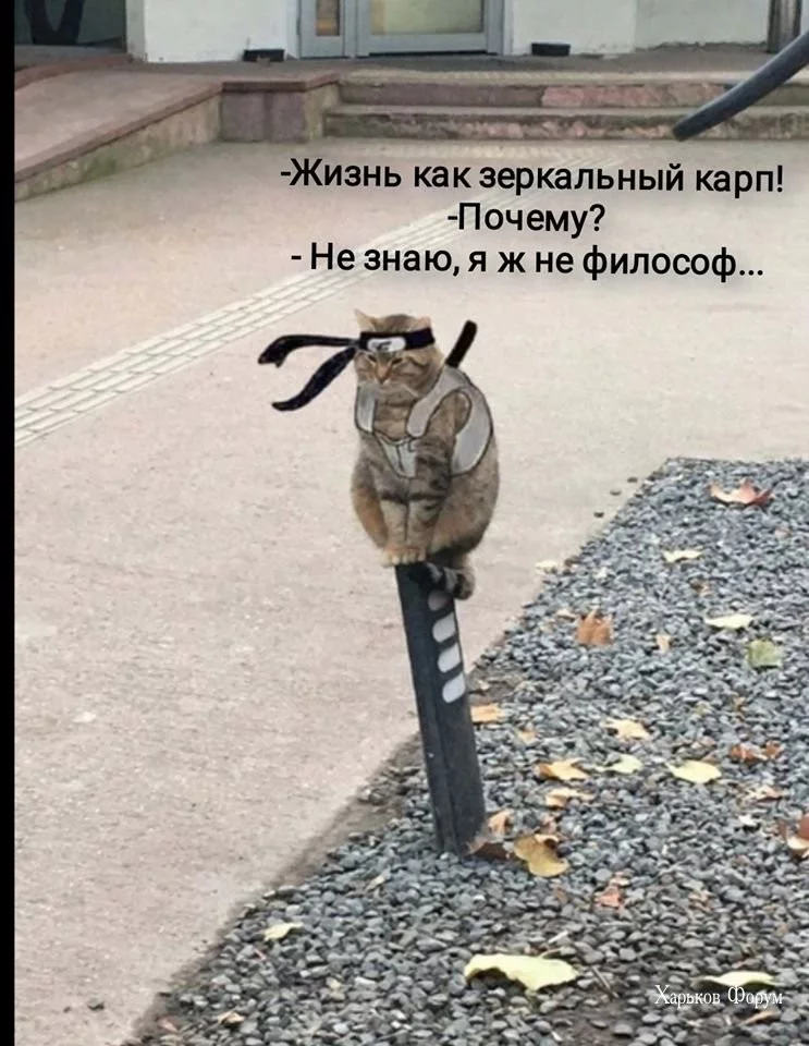 ef2863ff12de62656189.webp