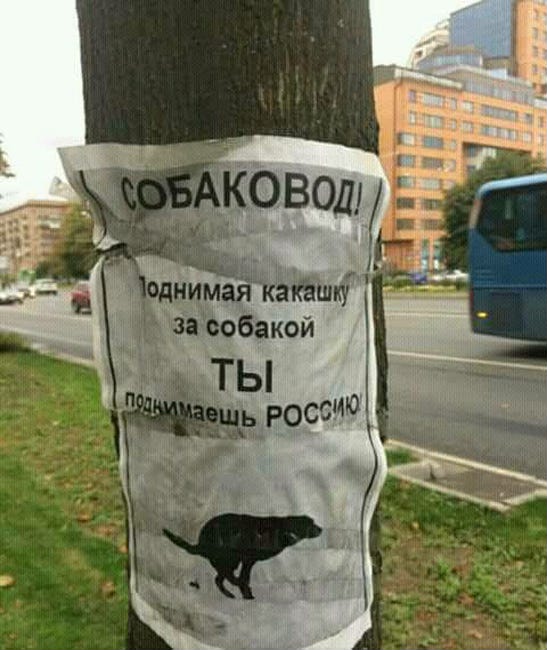 ef2cea.jpg