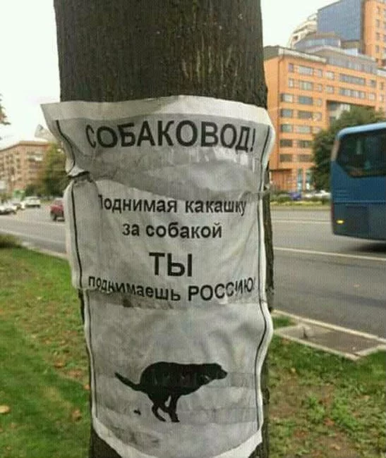 ef2cea.webp