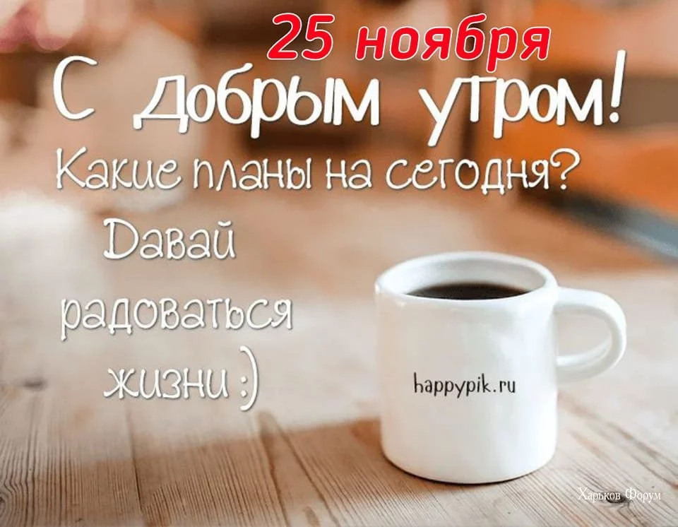 ef4c98954be5547d059.webp