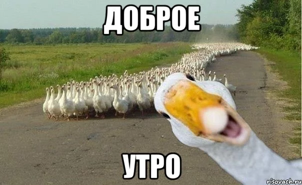 ef5ceh.webp