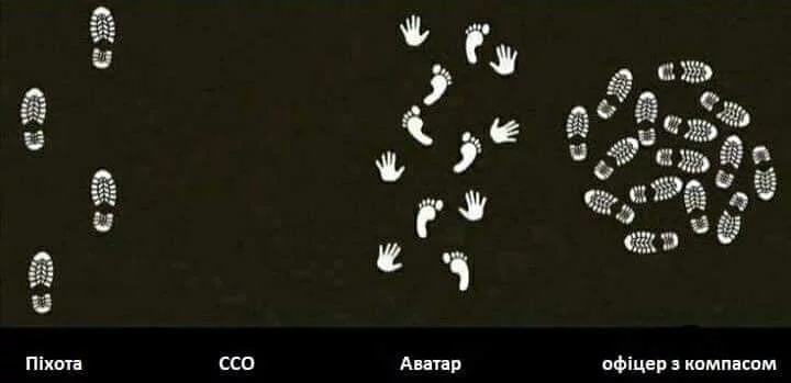 ef6bfe.webp