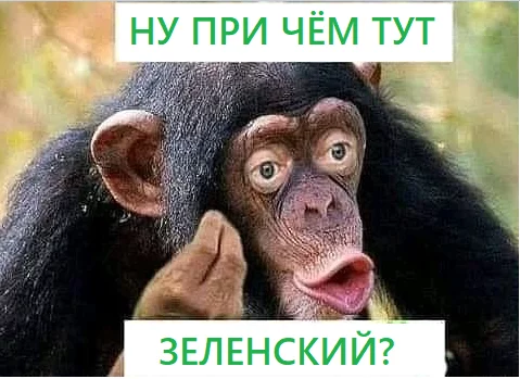 EF6jtMXVAAE9Gvo.webp