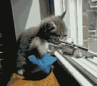 ef814bd0494740c0caf.gif