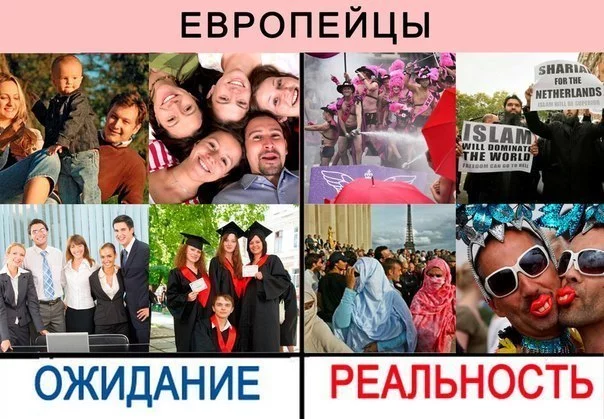eF8nnWzqARg.webp