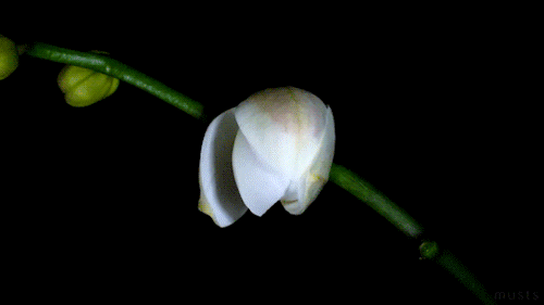 ef94690dd6de6b11cbb84b.gif