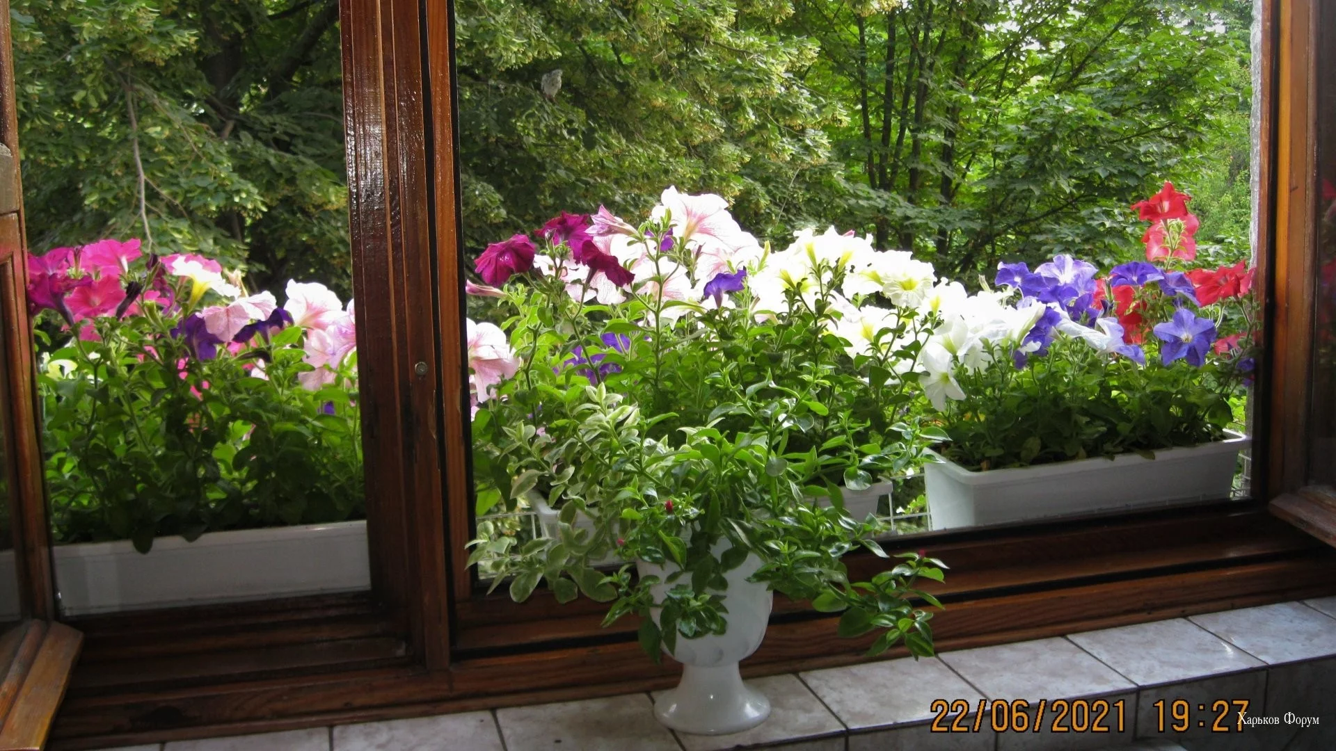 ef99b55ecc2babec8ab72.webp
