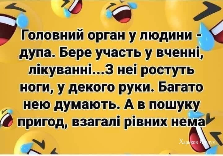 efa5dbfef3672916d.webp