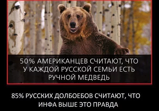 efbj6h.webp
