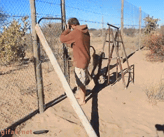 efc0ef.gif