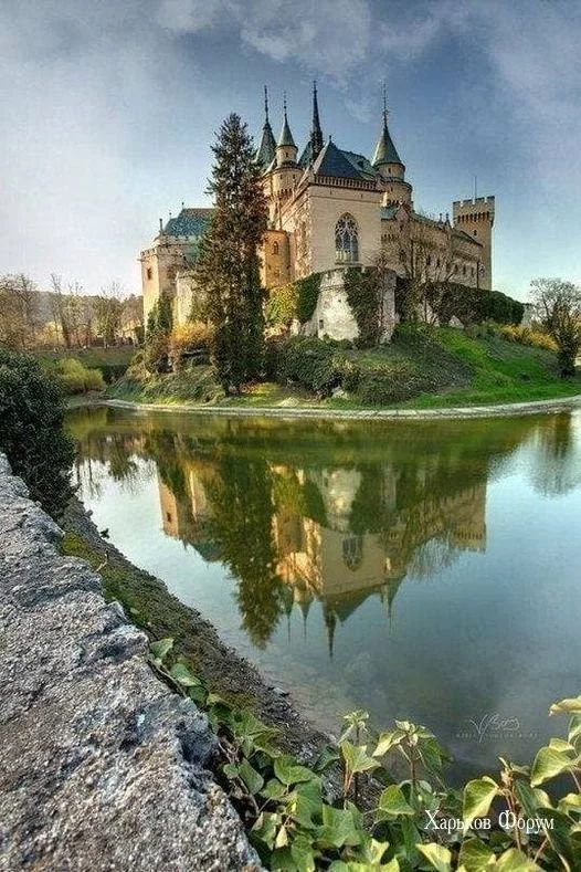 efcaad3fb3ddd8e33.webp