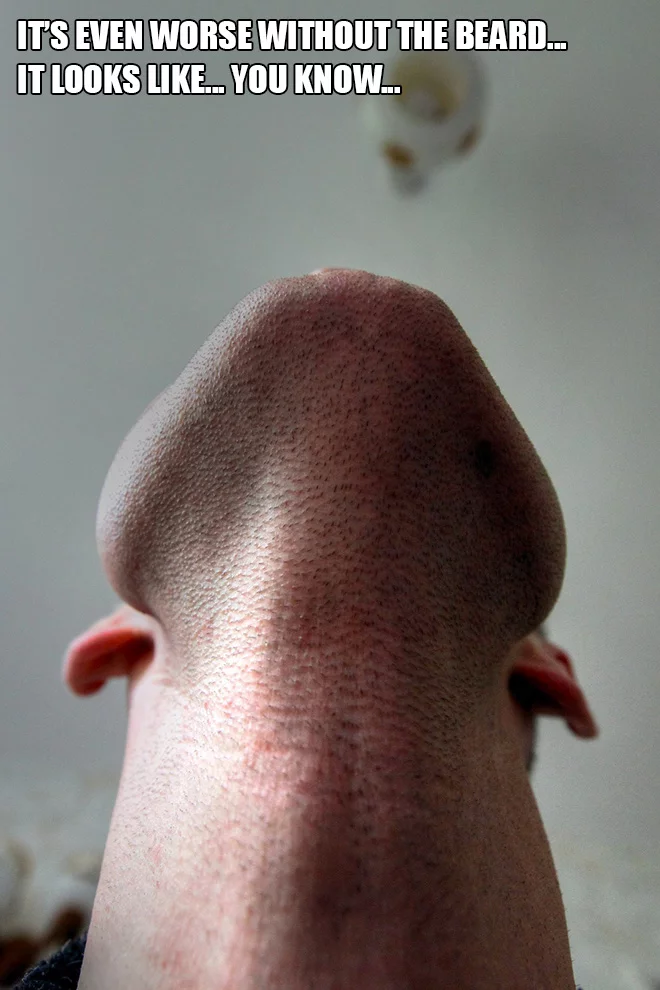 efcg3g.webp