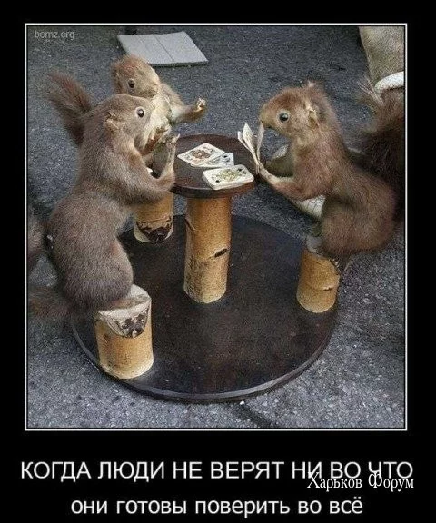 efd87d793fce90c9be38.webp