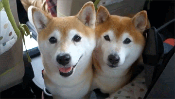 efdhe6.gif