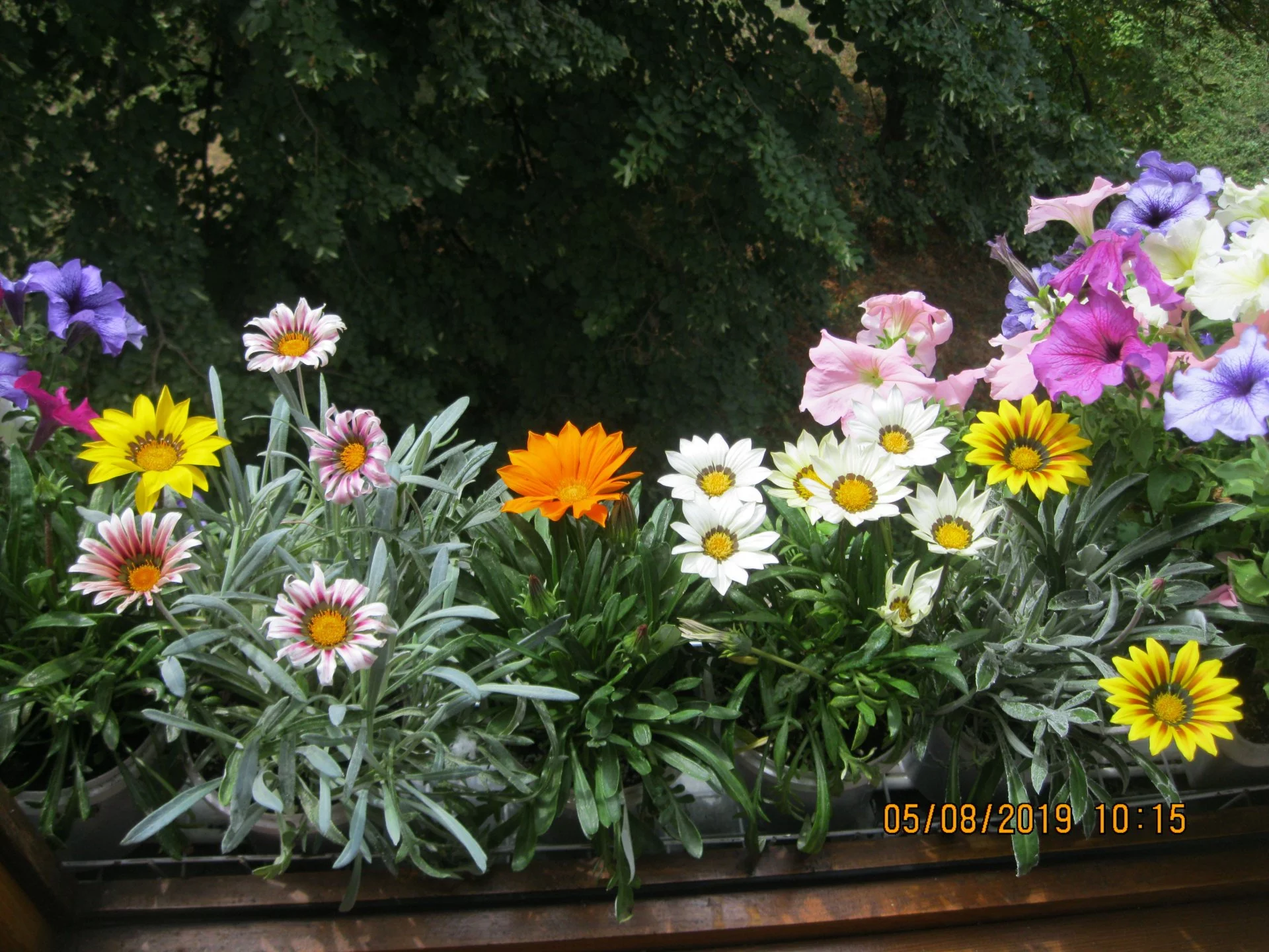efdhg3.webp