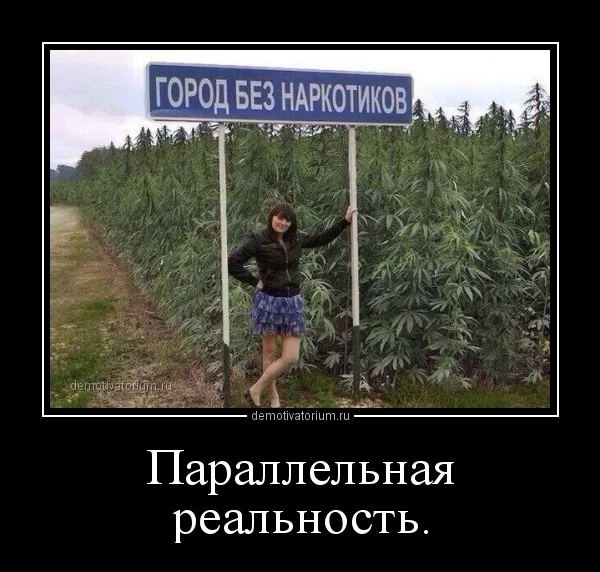 efeeh2.webp