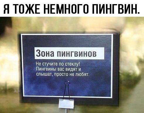 effa8f.jpg