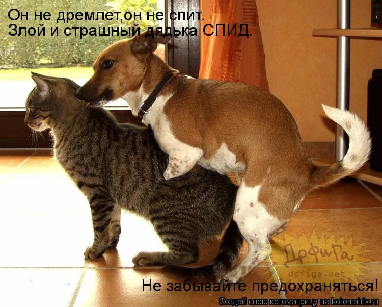 effd6f.webp