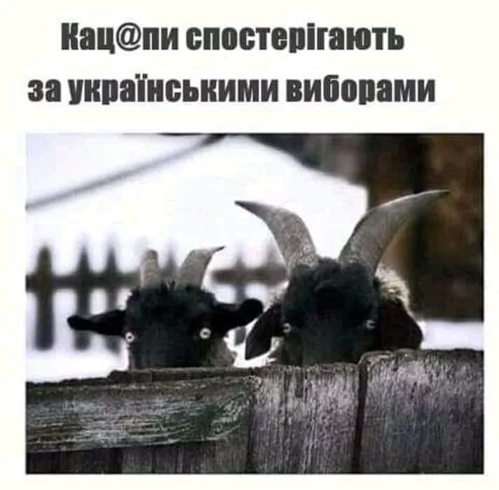 effhc7.webp