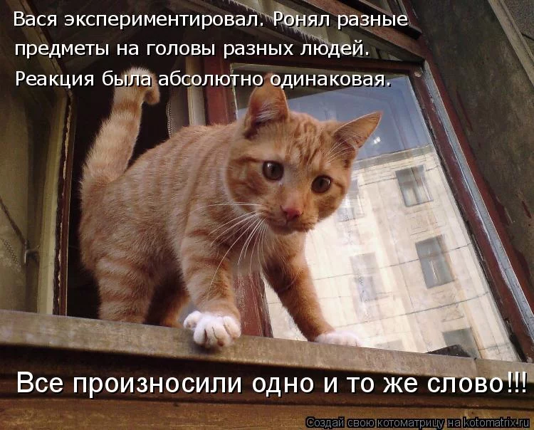 efg0gd.webp