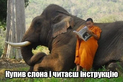 efg0hc.webp