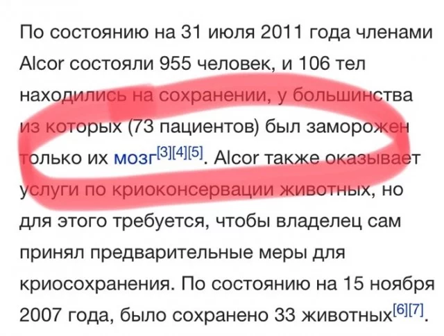 efgef1.webp