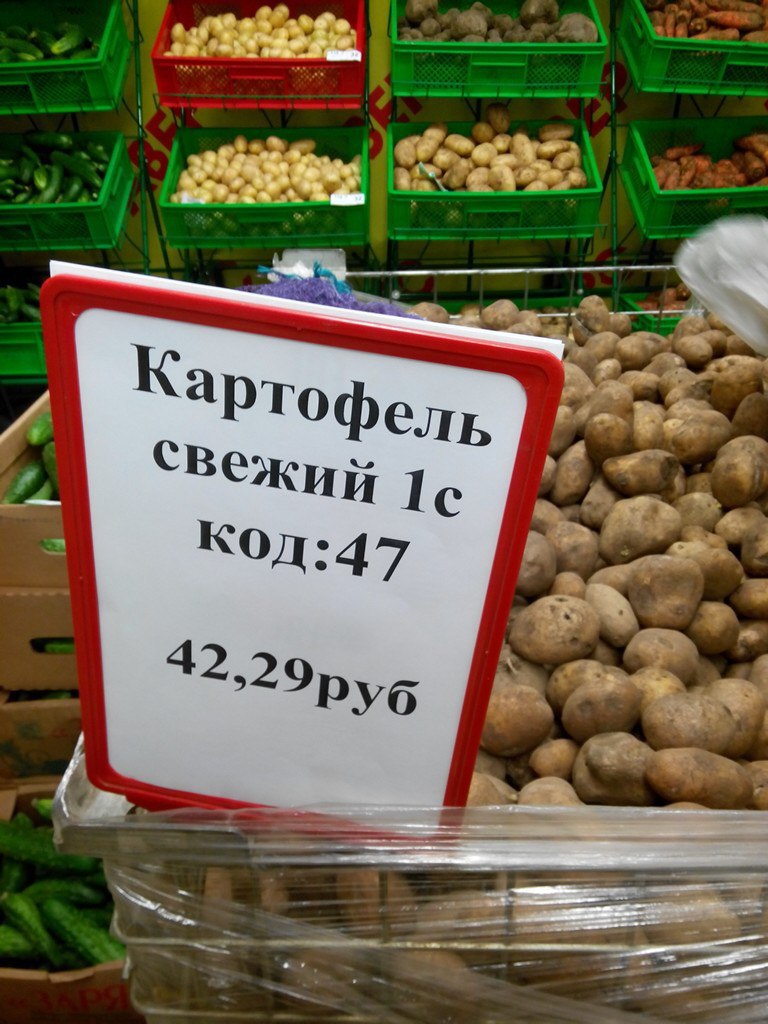 efgha2.jpg