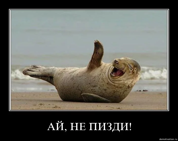 efh7dg.webp