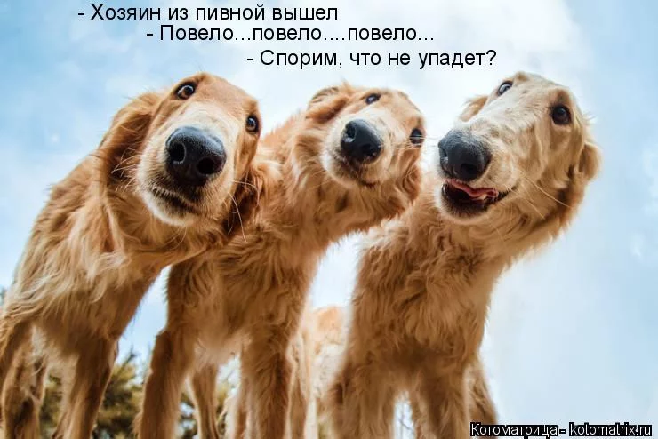 efh8fa.webp