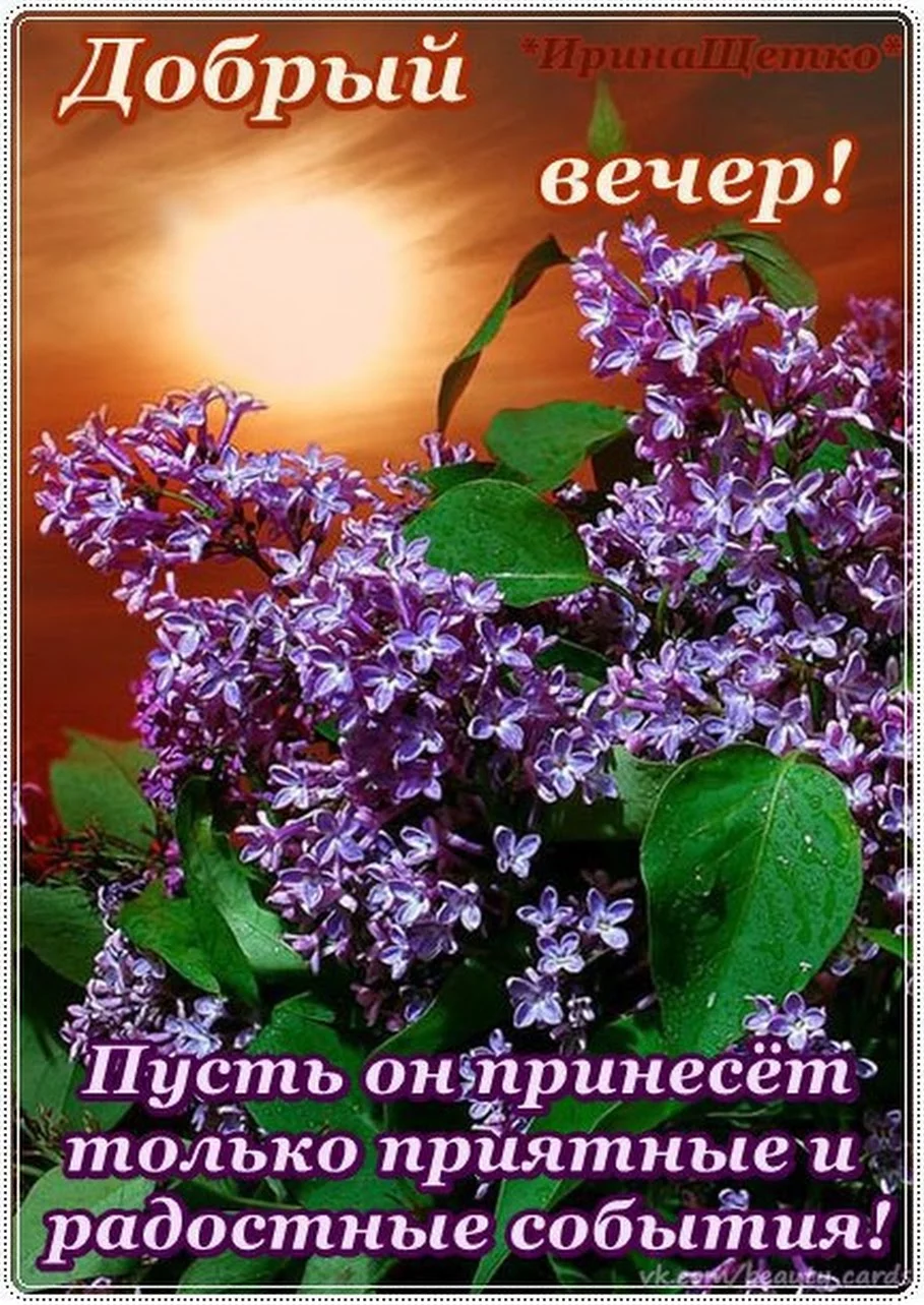 efhgj4.webp