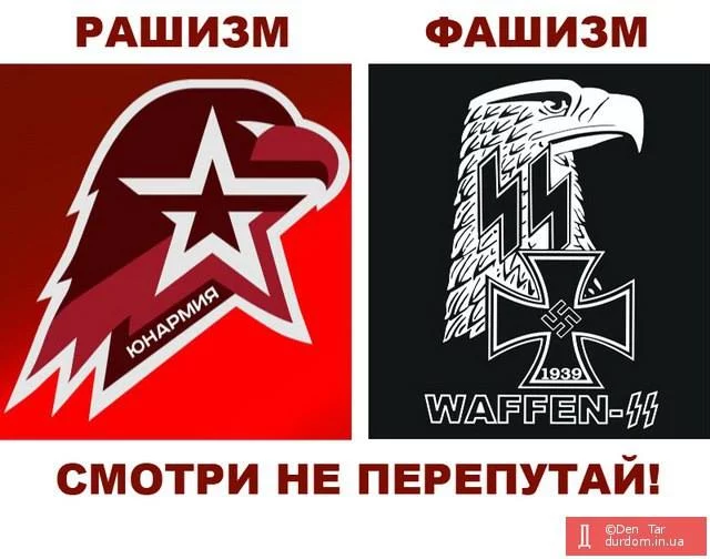 efjgd3.webp