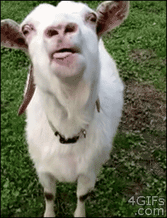 eg7fdg.gif