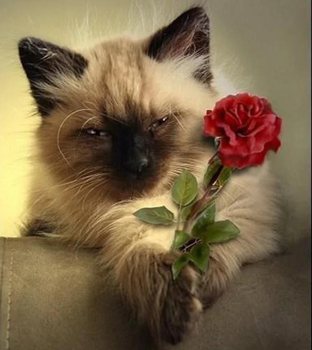 eg8hhf.webp
