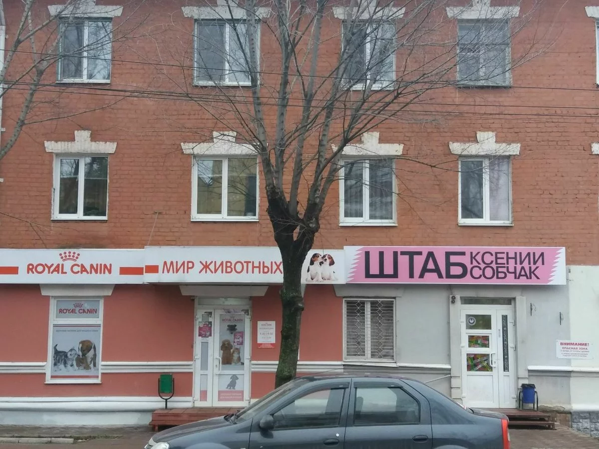 eg8jhh.webp