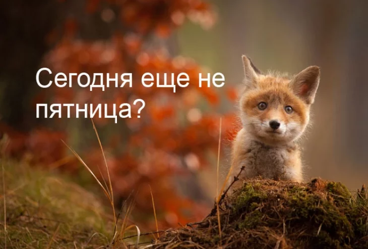 eg9hgb.webp