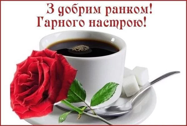 egac9h.webp