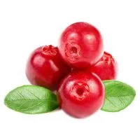 egb2ca.webp