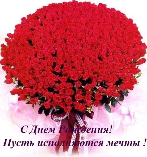 egc1hh.webp