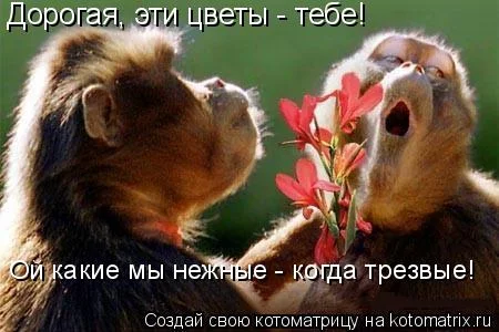 egc4bh.webp