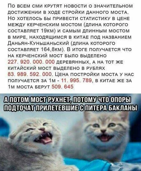 egd9fh.webp